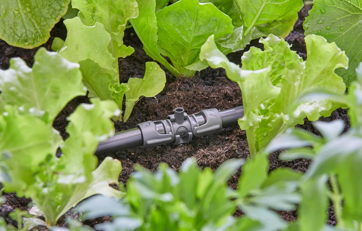 Pieza en T Gardena Micro-Drip-System para boquillas pulverizadoras: Conexión entre tubos de 13 mm y una boquilla pulverizadora, riego automático de plantas, tecnología de conexión rápida y sencilla, reutilizable (13206-20)