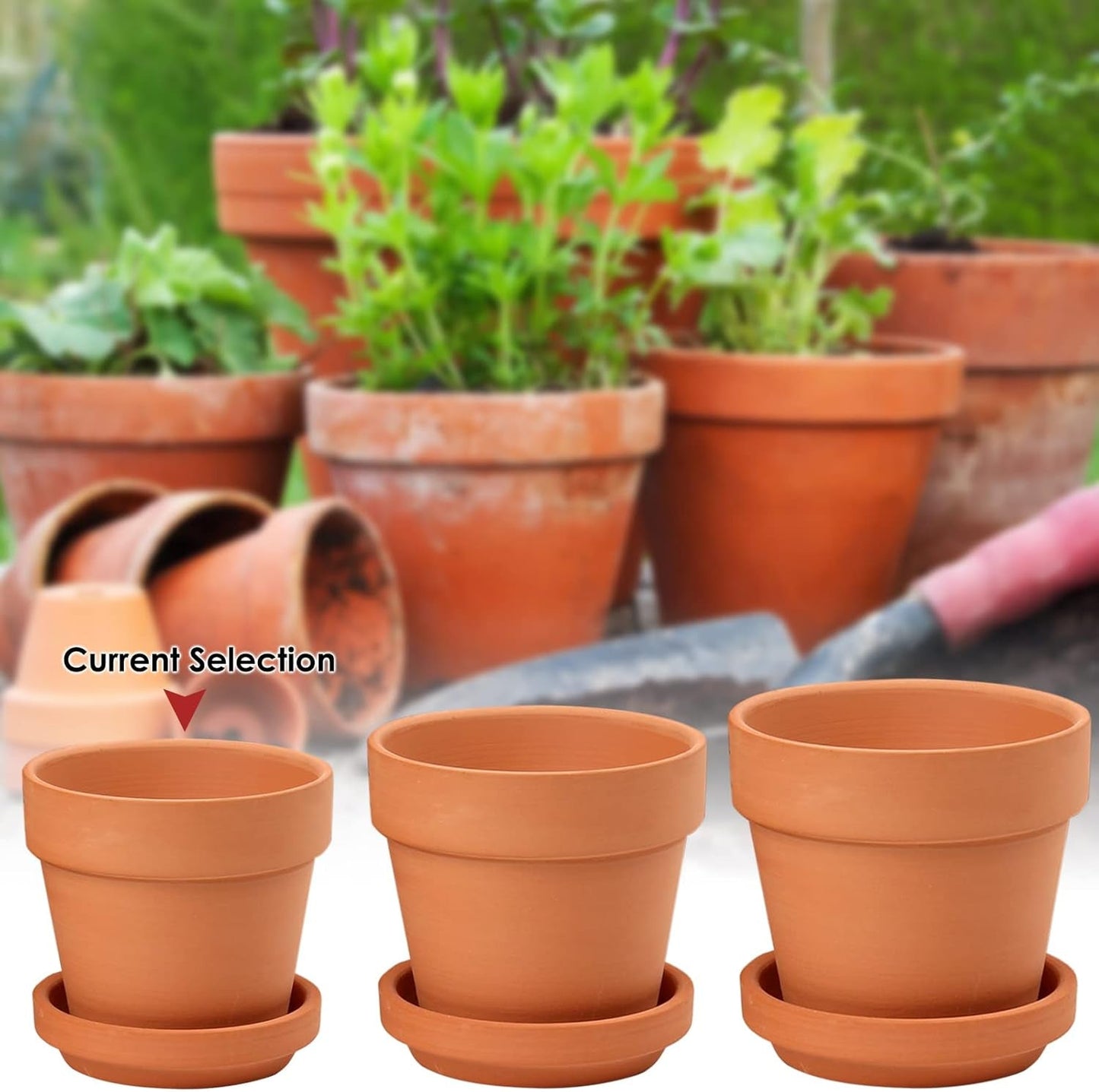 Hollyone Juego de 8 maceteros pequeños de terracota, maceteros redondos de arcilla de 8 x 8 cm con plato y orificio de drenaje, maceteros pequeños con bandeja, maceteros suculentos de terracota para plantas de interior, maceteros de cerámica
