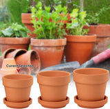 Hollyone Juego de 8 maceteros pequeños de terracota, maceteros redondos de arcilla de 8 x 8 cm con plato y orificio de drenaje, maceteros pequeños con bandeja, maceteros suculentos de terracota para plantas de interior, maceteros de cerámica