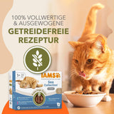 IAMS Delights Sea Collection Comida húmeda para gatos sin cereales - Paquete múltiple con variedad de pescado en salsa, comida húmeda sin cereales para gatos a partir de 1 año, 12 x 85 g