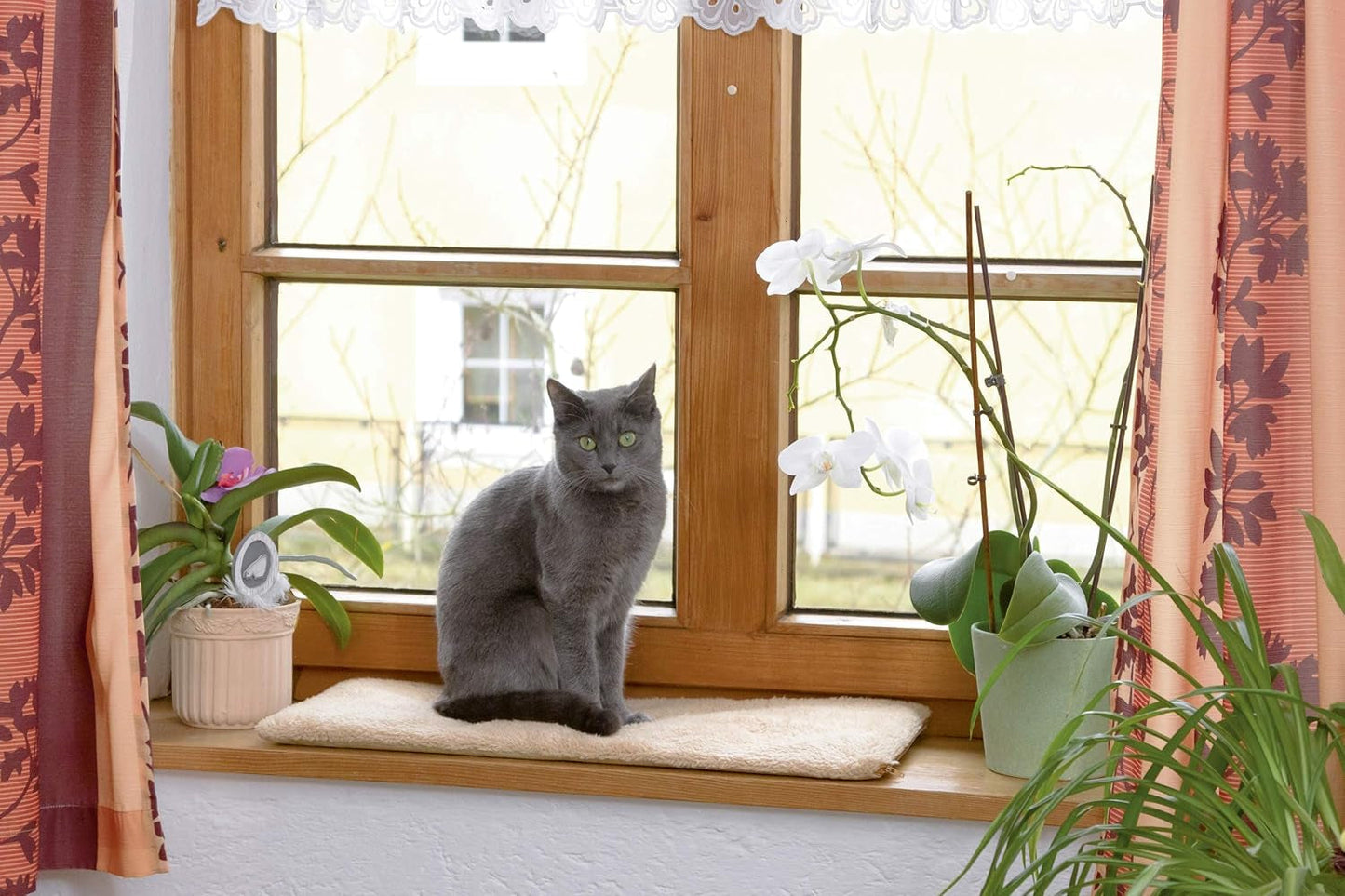 Mantas y Muebles, Mascotas, Gatos, Camas para gatos, Rascadores, Gatos - Camas, Colchones