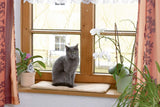 Mantas y Muebles, Mascotas, Gatos, Camas para gatos, Rascadores, Gatos - Camas, Colchones