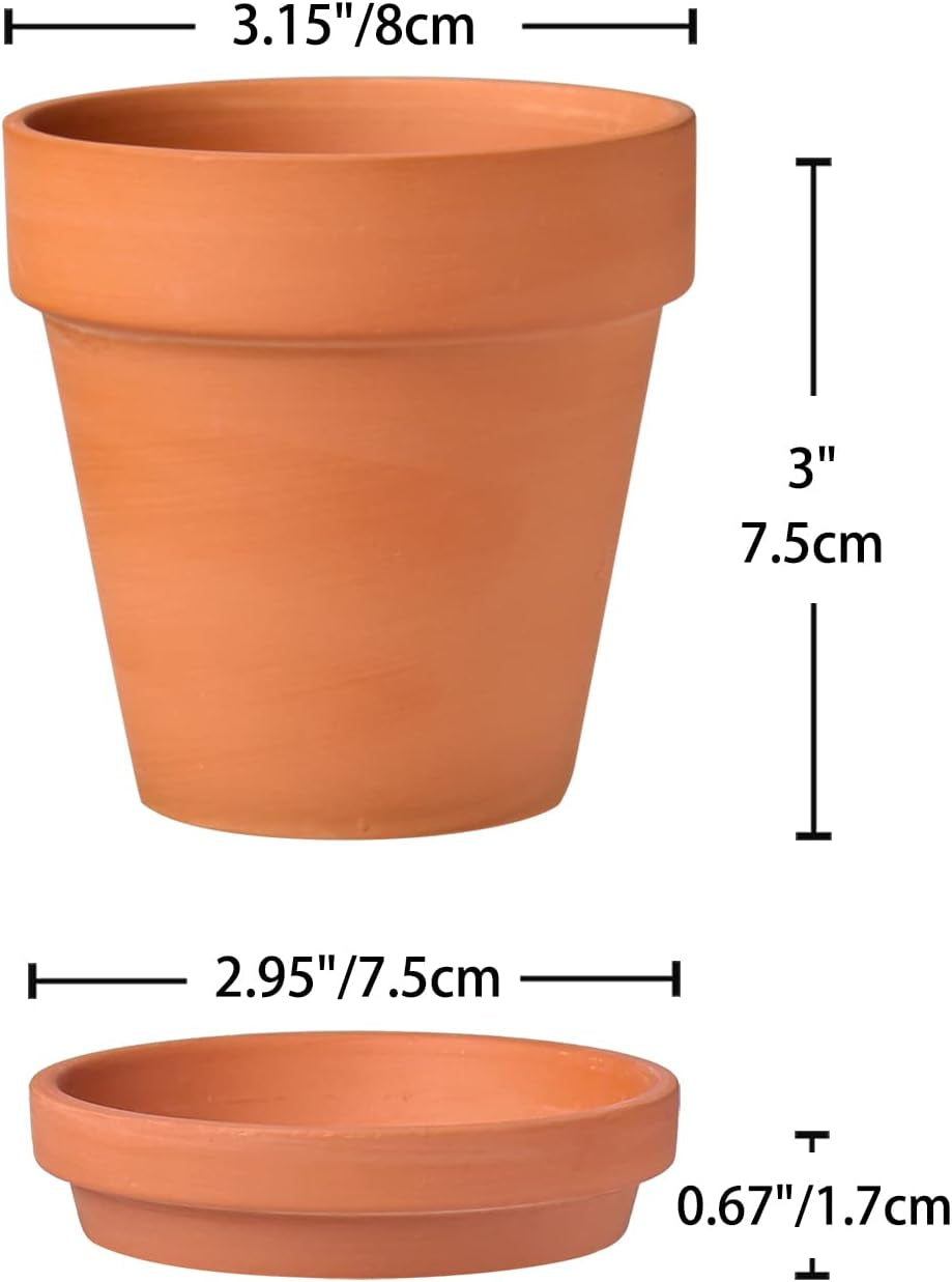 Hollyone Juego de 8 maceteros pequeños de terracota, maceteros redondos de arcilla de 8 x 8 cm con plato y orificio de drenaje, maceteros pequeños con bandeja, maceteros suculentos de terracota para plantas de interior, maceteros de cerámica