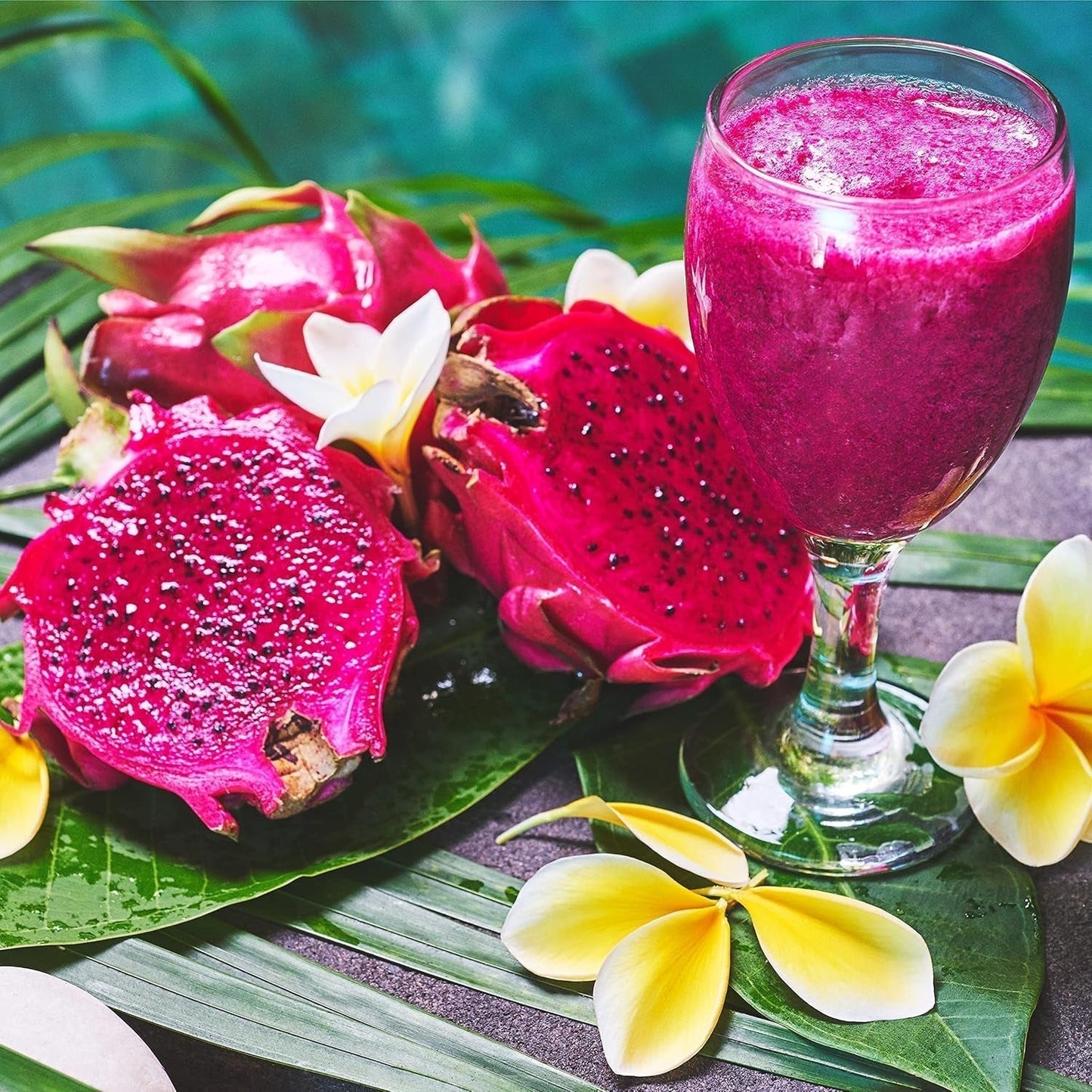 Pitaya liofilizada 50g - Pitahaya liofilizada - Fruta deshidratada liofilizada - Pitahaya seca en rodajas para repostería, decoración, snacks, muesli, postres Productos deshidratados Mi tienda