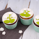 Günthart BackDecor 250 fondant verde, 100% vegano, sin aceite de palma, resistente a la rotura para cubrir tartas y pasteles, apto para modelar, 1 paquete (1 x 250 g) Naty Shop Sugar Paste