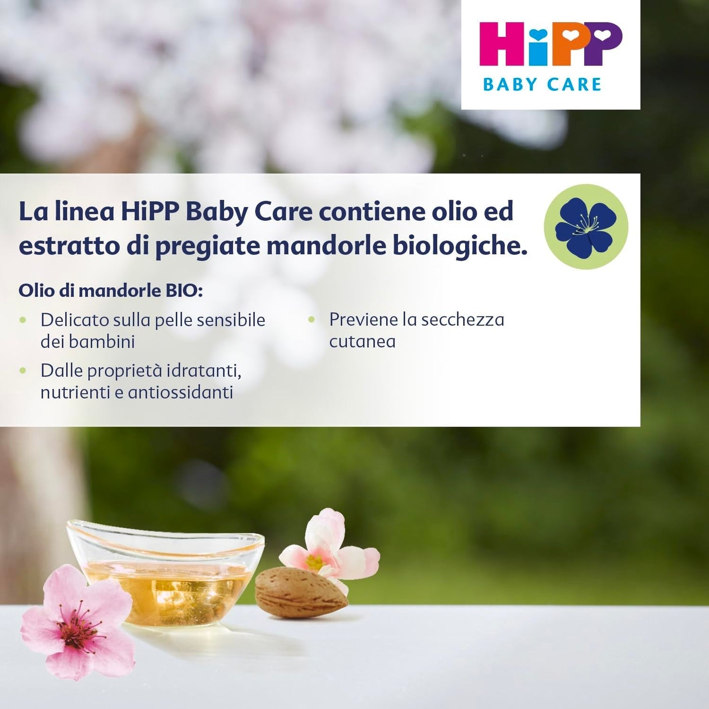HiPP Baby Care Champú con acondicionador para niños, desenreda el cabello y protege el cuero cabelludo, para pieles sensibles, con extracto natural de almendras ecológico, 1 x 200 ml Infantil - Baño y Cuidado Naty Shop