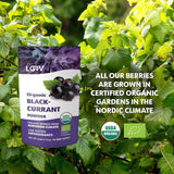 LOOV Grosella Negra en Polvo Bio, Elaborado 100% con Grosellas Negras Enteras, Bayas Orgánicas Liofilizadas y en Polvo, Cultivadas en el Norte de Europa, Sin Azúcar Añadido, 113g Naty Shop Productos Deshidratados