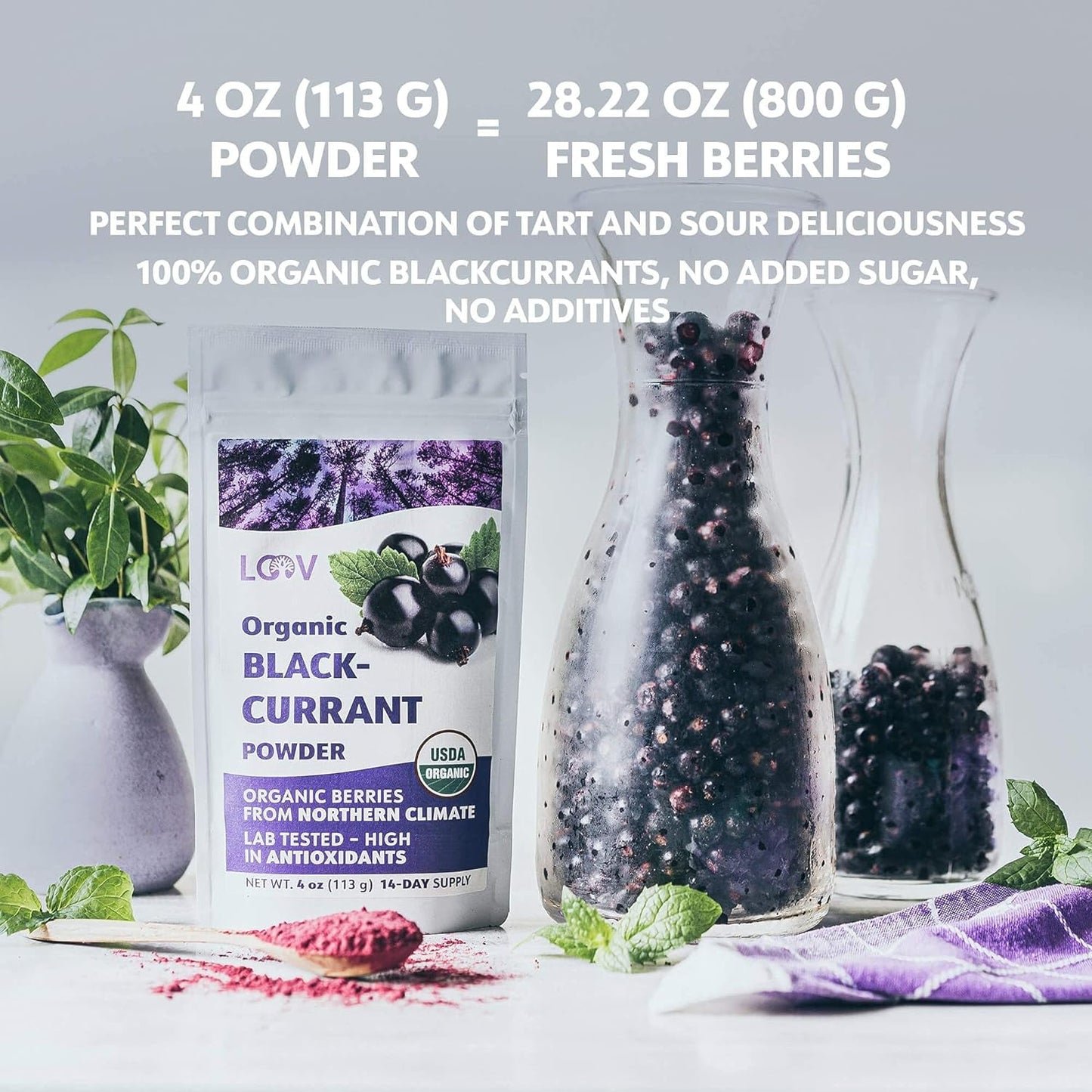 LOOV Grosella Negra en Polvo Bio, Elaborado 100% con Grosellas Negras Enteras, Bayas Orgánicas Liofilizadas y en Polvo, Cultivadas en el Norte de Europa, Sin Azúcar Añadido, 113g Naty Shop Productos Deshidratados