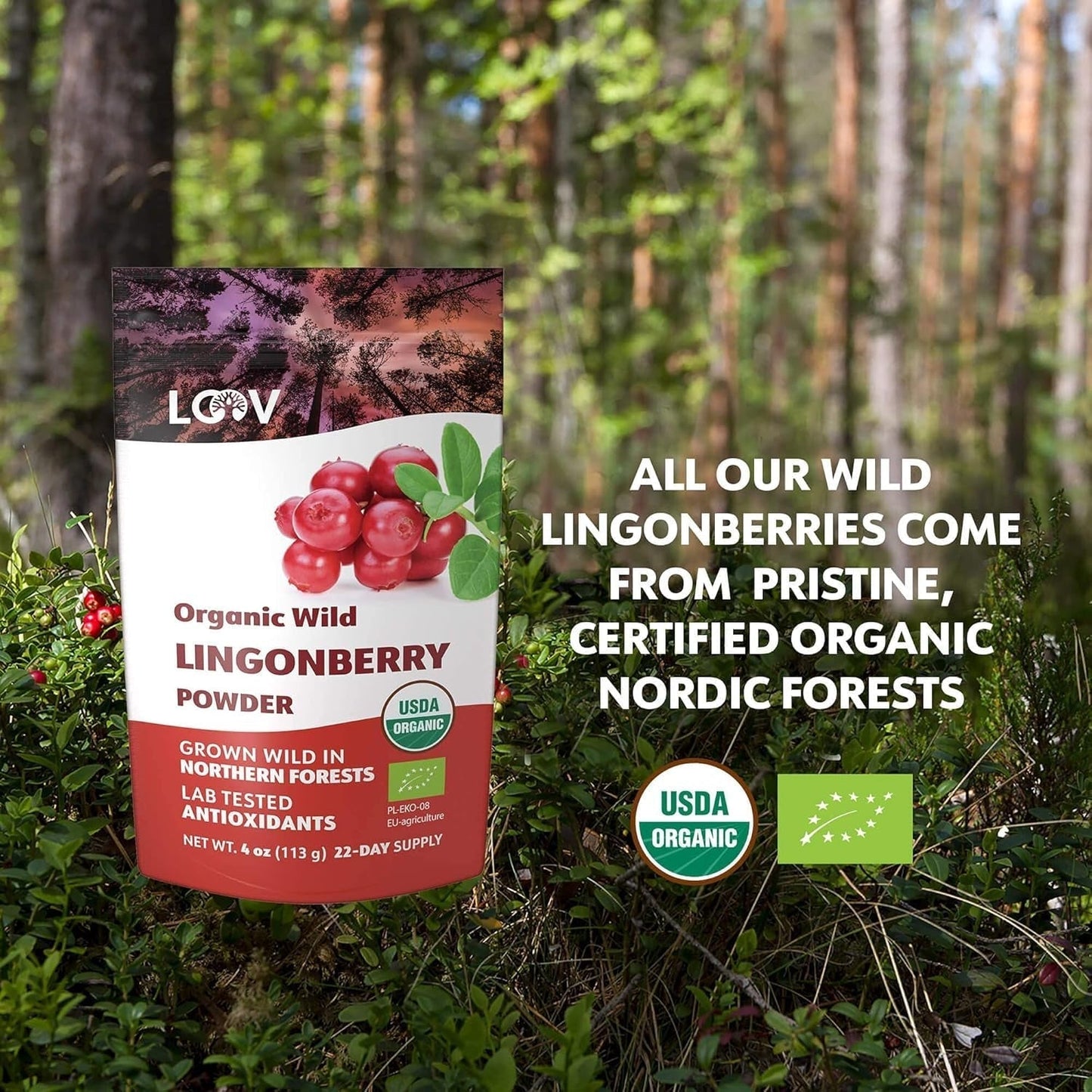 Arándano en polvo ecológico LOOV, elaborado 100% con arándanos silvestres enteros y liofilizados recolectados en los bosques del norte de Europa, 113g, sin azúcares añadidos Naty Shop Productos Deshidratados