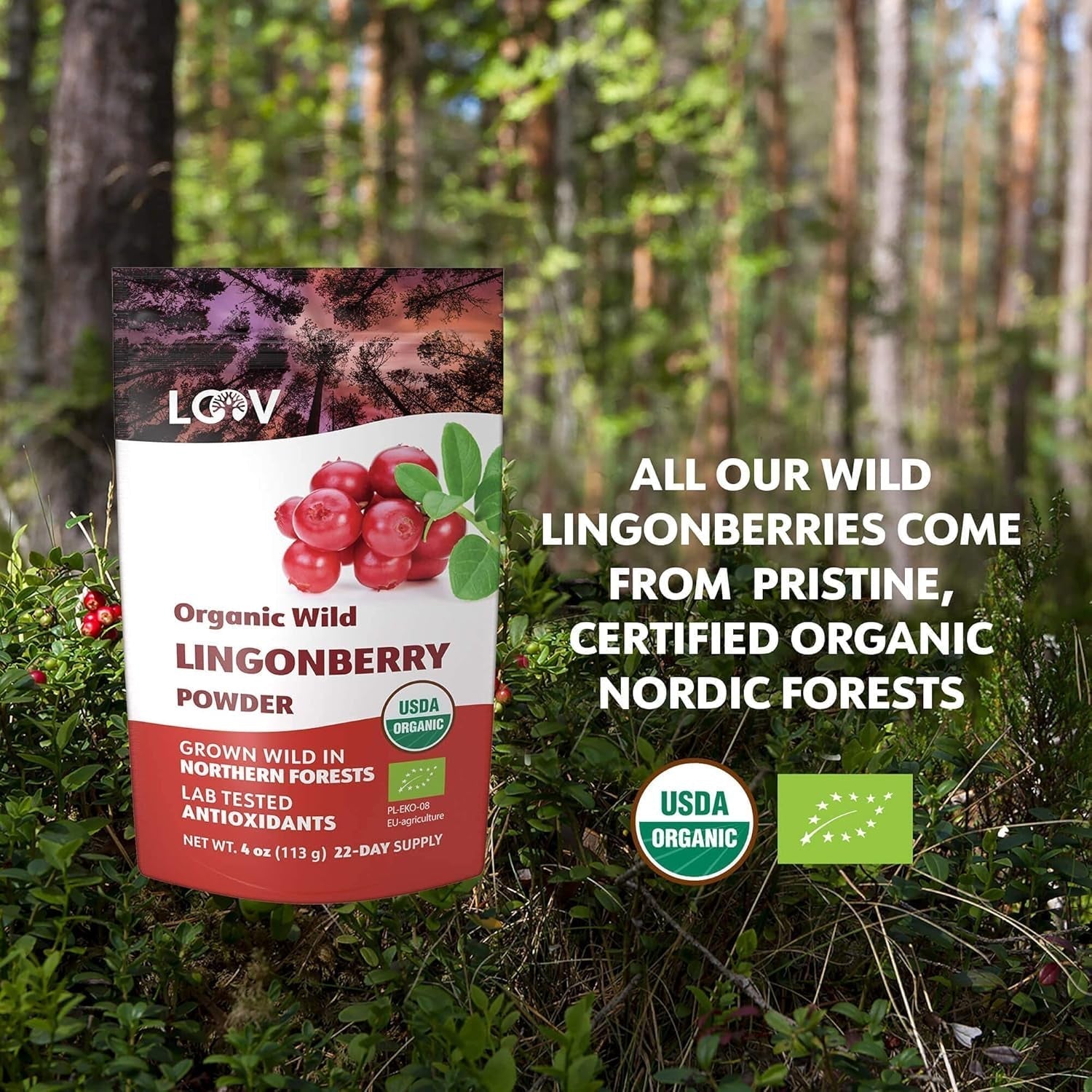 Arándano en polvo ecológico LOOV, elaborado 100% con arándanos silvestres enteros y liofilizados recolectados en los bosques del norte de Europa, 113g, sin azúcares añadidos Naty Shop Productos Deshidratados