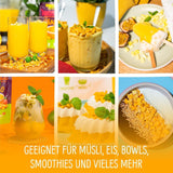 Mango liofilizado: 100g de fruta liofilizada procedente de trozos tiernos de mango sin azúcar añadido - mango seco - mango seco - frutos secos - frutos secos de NutriPur Productos deshidratados Naty Shop