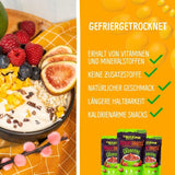 Mango liofilizado: 100g de fruta liofilizada procedente de trozos tiernos de mango sin azúcar añadido - mango seco - mango seco - frutos secos - frutos secos de NutriPur Productos deshidratados Naty Shop