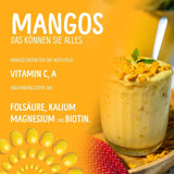 Mango liofilizado: 100g de fruta liofilizada procedente de trozos tiernos de mango sin azúcar añadido - mango seco - mango seco - frutos secos - frutos secos de NutriPur Productos deshidratados Naty Shop