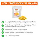 Mango liofilizado, 250g fruta liofilizada, sin añadidos, afrutado, made in Germany Productos deshidratados Naty Shop