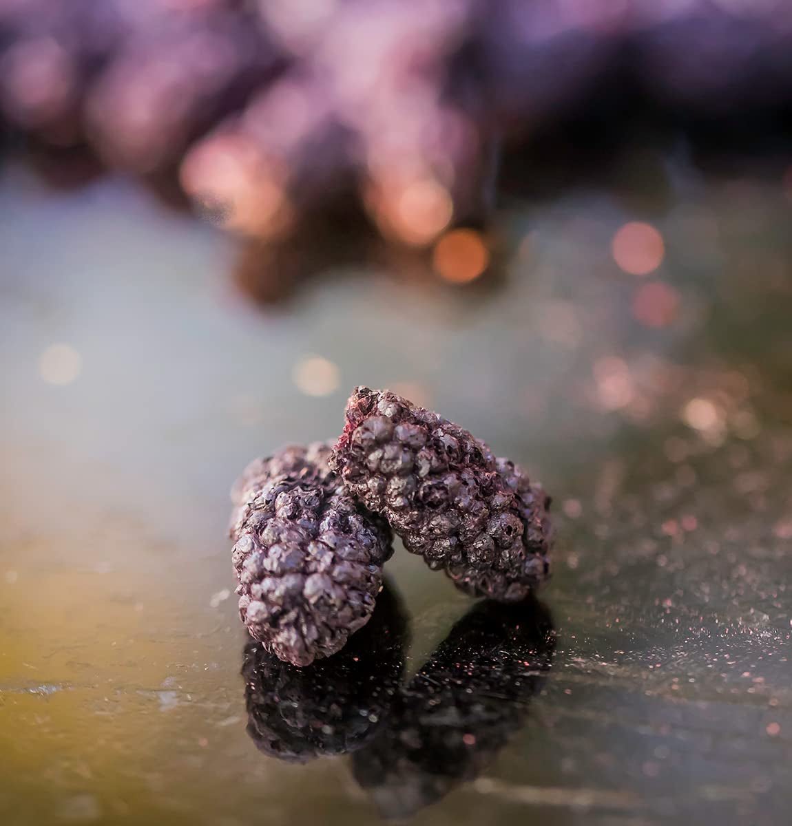 Mora BRIX | Moras secas naturales 95 g | Premio Gran Sabor a los Frutos Secos | Sin OGM, Sin Gluten, Vegano, Vitaminas En Conserva Naty Shop Productos Deshidratados