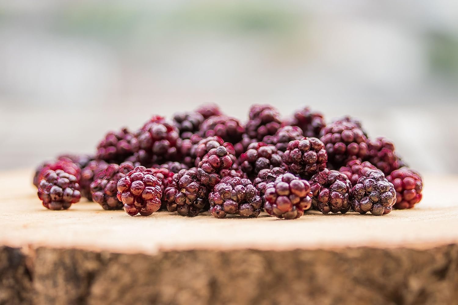 Moras silvestres BRIX | Moras silvestres naturales, secas 95 g | Premio al Gran Sabor para los frutos secos | Sin OGM, Sin Gluten, Vegano, Vitaminas Retenidas Naty Shop Productos Deshidratados