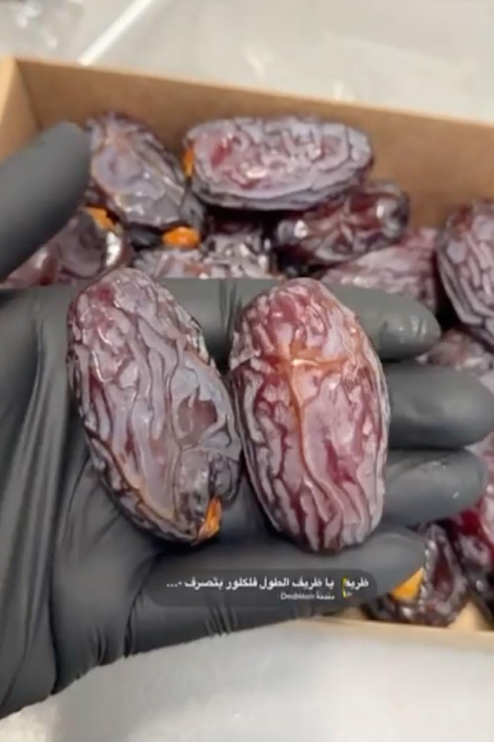 NABALI FAIRKOST PARA TODOS Dátiles Medjool Medjoul de Palestina - 100% natural vegano aromático tradicional fresco y oriental I sin conservantes 5 kg (1 paquete), Pequeño/Mediano Productos deshidratados Naty Shop