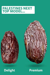 NABALI FAIRKOST PARA TODOS Dátiles Medjool Medjoul de Palestina - 100% natural vegano aromático tradicional fresco y oriental I sin conservantes 5 kg (1 paquete), Pequeño/Mediano Productos deshidratados Naty Shop