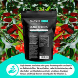 Nature Diet - Bayas de Goji 1000 g | Bayas secas | Snack saludable Naty Shop productos deshidratados
