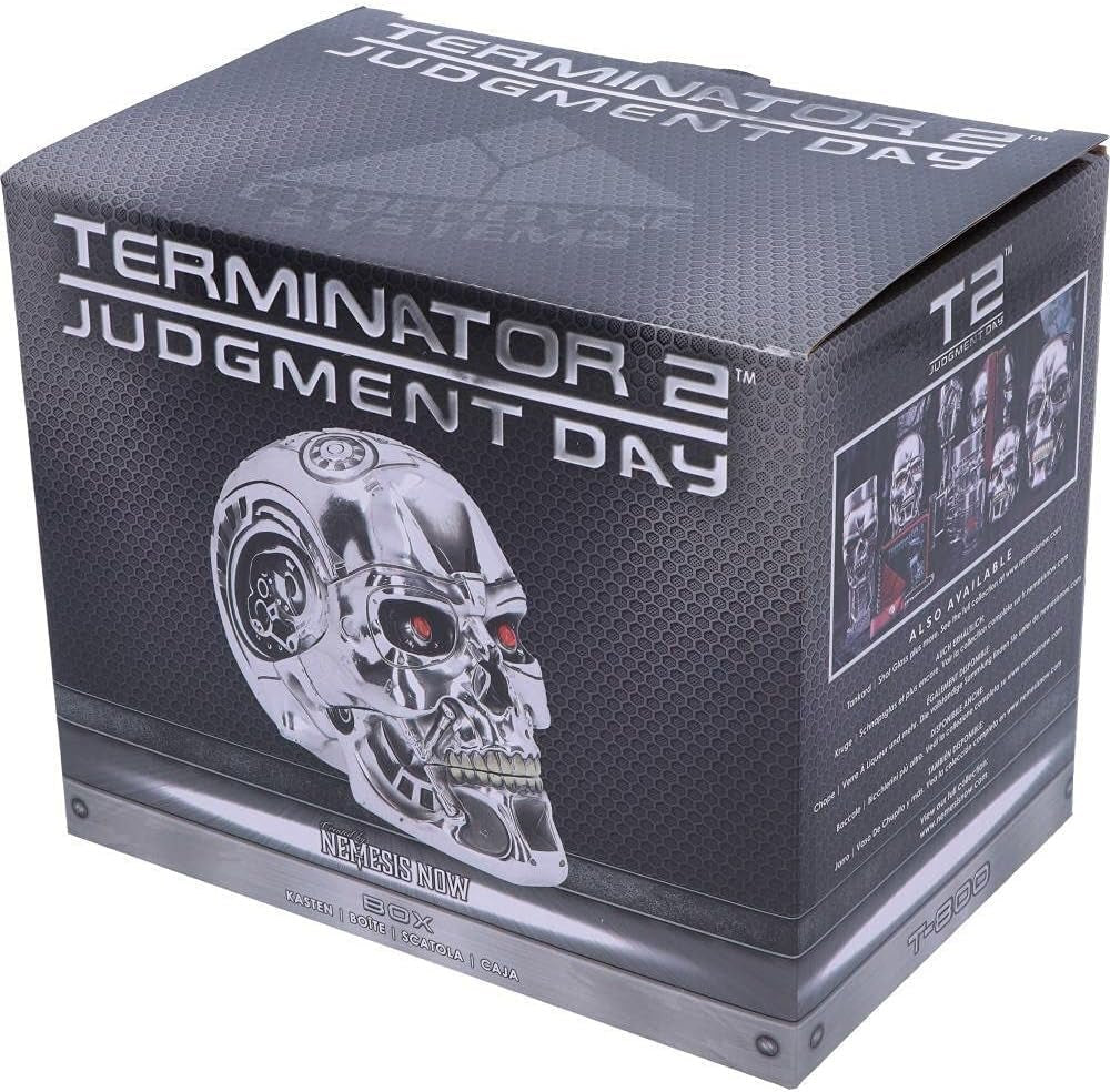 Nemesis Now, T Box, 18 cm, Plata, Resina, Estatuillas y Esculturas Talla Única Naty Shop