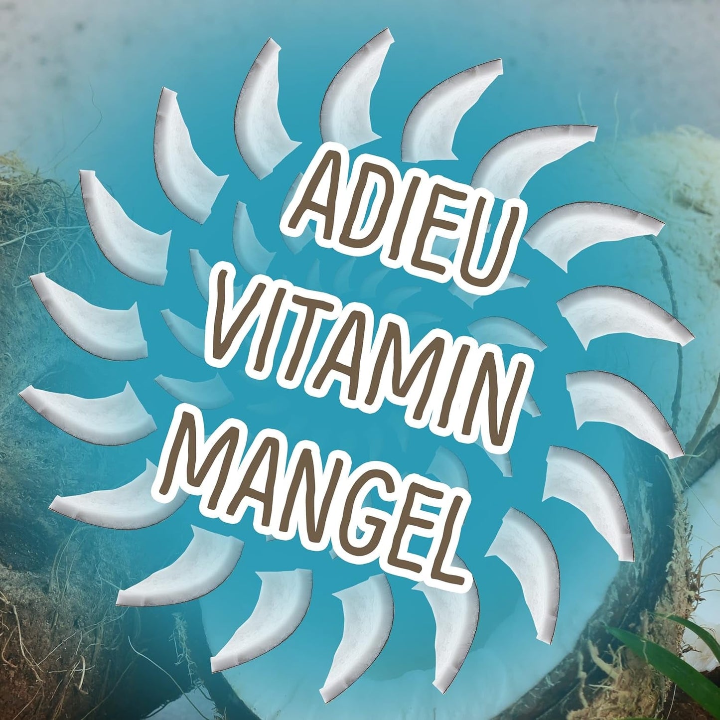 Coco liofilizado: 50g fruta liofilizada - dulces veganos cubitos de coco endulzados - frutos secos naturales de NutriPur Productos deshidratados Naty Shop