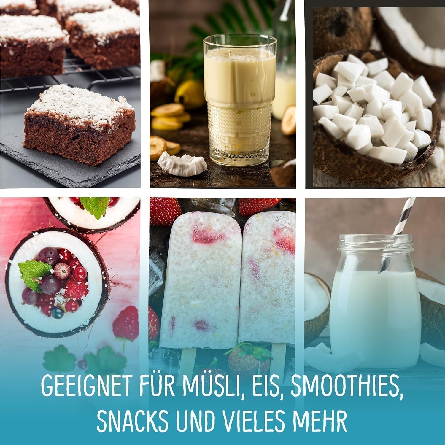 Coco liofilizado: 50g fruta liofilizada - dulces veganos cubitos de coco endulzados - frutos secos naturales de NutriPur Productos deshidratados Naty Shop