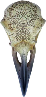 Estatuillas y esculturas Calavera de Cuervo Omega Naty Shop