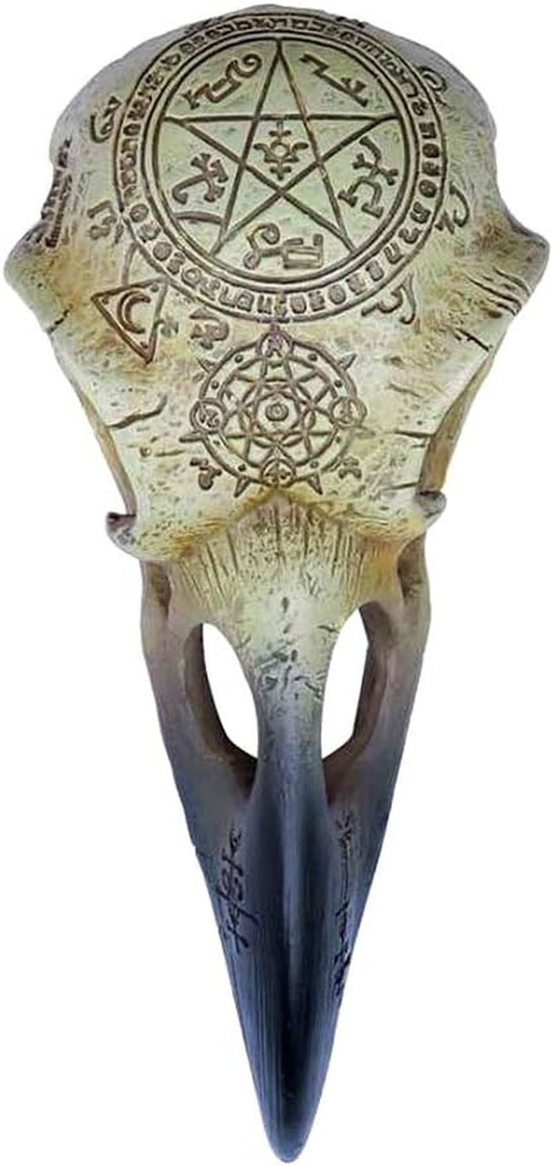 Estatuillas y esculturas Calavera de Cuervo Omega Naty Shop