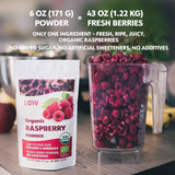Frambuesa en polvo orgánica 100% frambuesas enteras Frambuesa liofilizada en polvo 171 g de Europa Suministro para 24 días Sin azúcar añadido Naty Shop Productos deshidratados