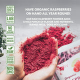 Frambuesa en polvo orgánica 100% frambuesas enteras Frambuesa liofilizada en polvo 171 g de Europa Suministro para 24 días Sin azúcar añadido Naty Shop Productos deshidratados