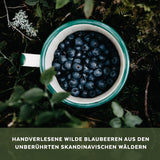 Arándanos Silvestres Orgánicos en Polvo, Arándanos Enteros Liofilizados, 100% Calidad de Alimentos Crudos, Ricos en Antioxidantes y Vitamina C, Sin Azúcares Añadidos, Cosechados en el Norte de Europa Productos Secos Naty Shop