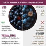 Arándanos Silvestres Orgánicos en Polvo, Arándanos Enteros Liofilizados, 100% Calidad de Alimentos Crudos, Ricos en Antioxidantes y Vitamina C, Sin Azúcares Añadidos, Cosechados en el Norte de Europa Productos Secos Naty Shop