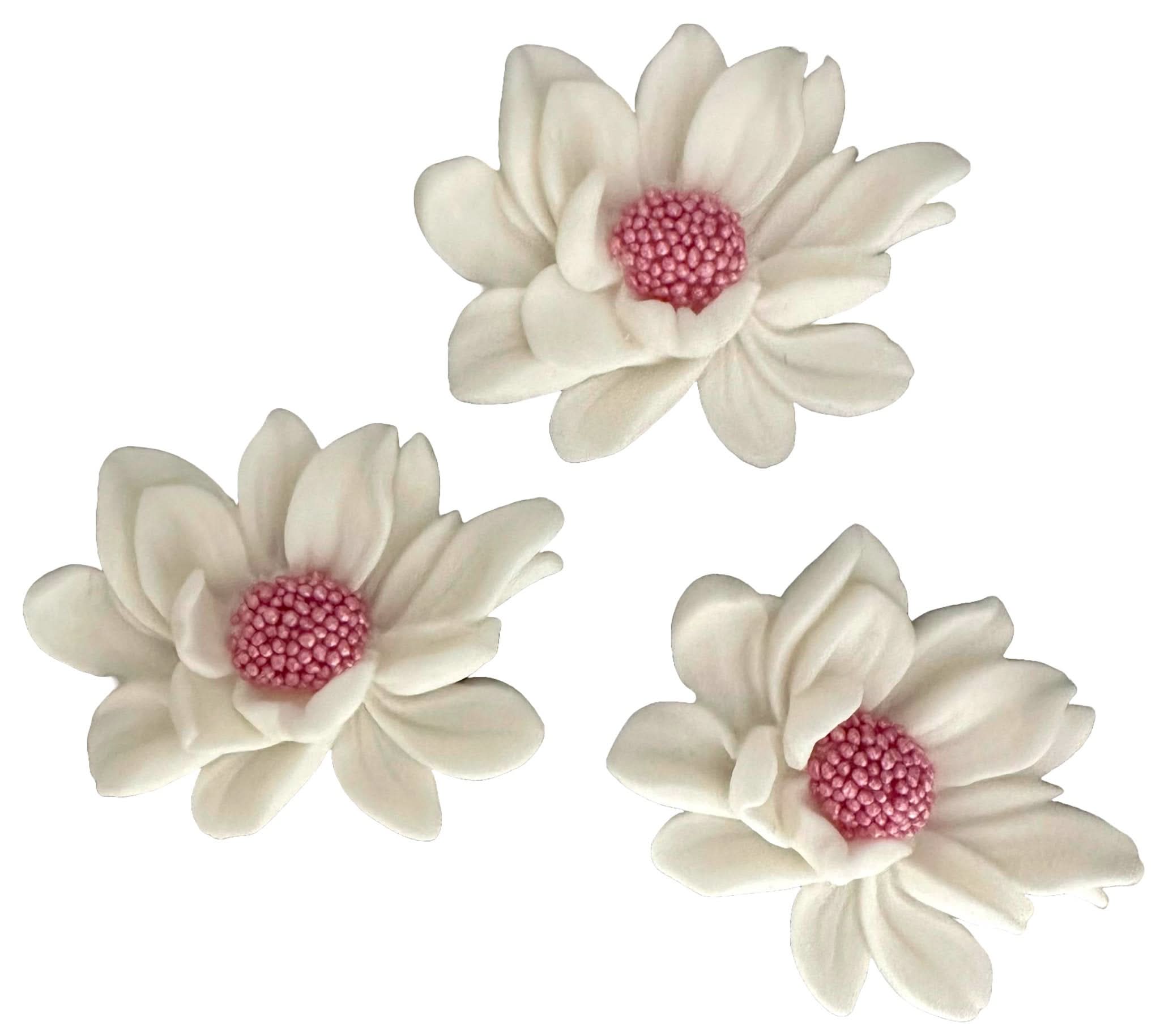 Set de 3 decoraciones de azúcar comestible, Flores blancas Decoraciones de pasta de azúcar Nati Shop