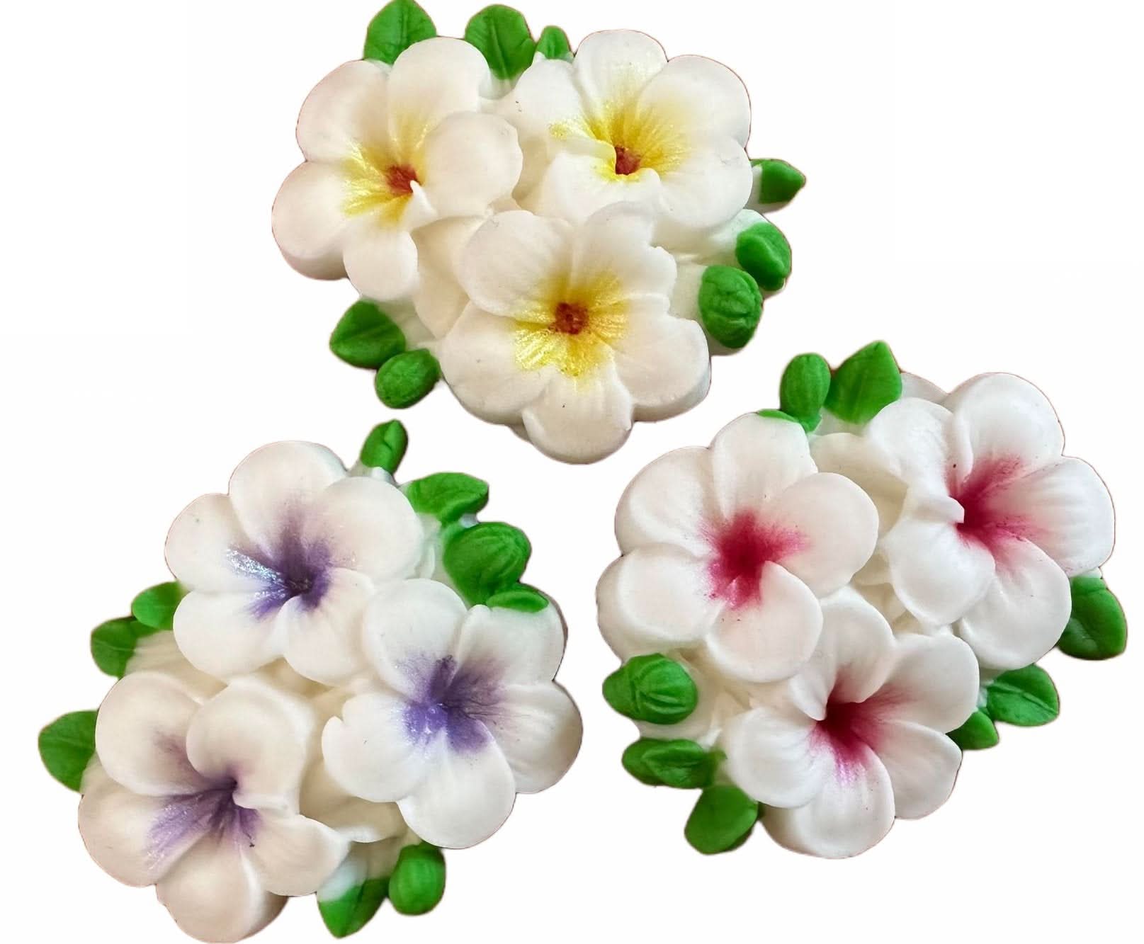 Set de 3 decoraciones de azúcar comestible, Flores de Plumeria Decoraciones de pasta de azúcar Nati Shop
