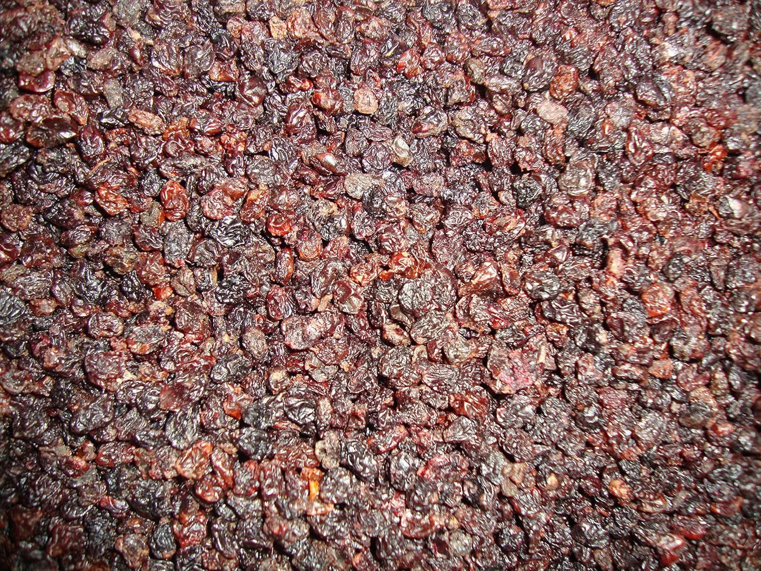 Uva sultana Grosellas 1 kg I Uva sultana seca I Uva sultana corintia I Origen griego | Uvas Sultana dulces y dulces sin semillas | Uvas pasas, pasas o deshidratadas | Sin azúcar | Productos deshidratados Naty Shop Título predeterminado