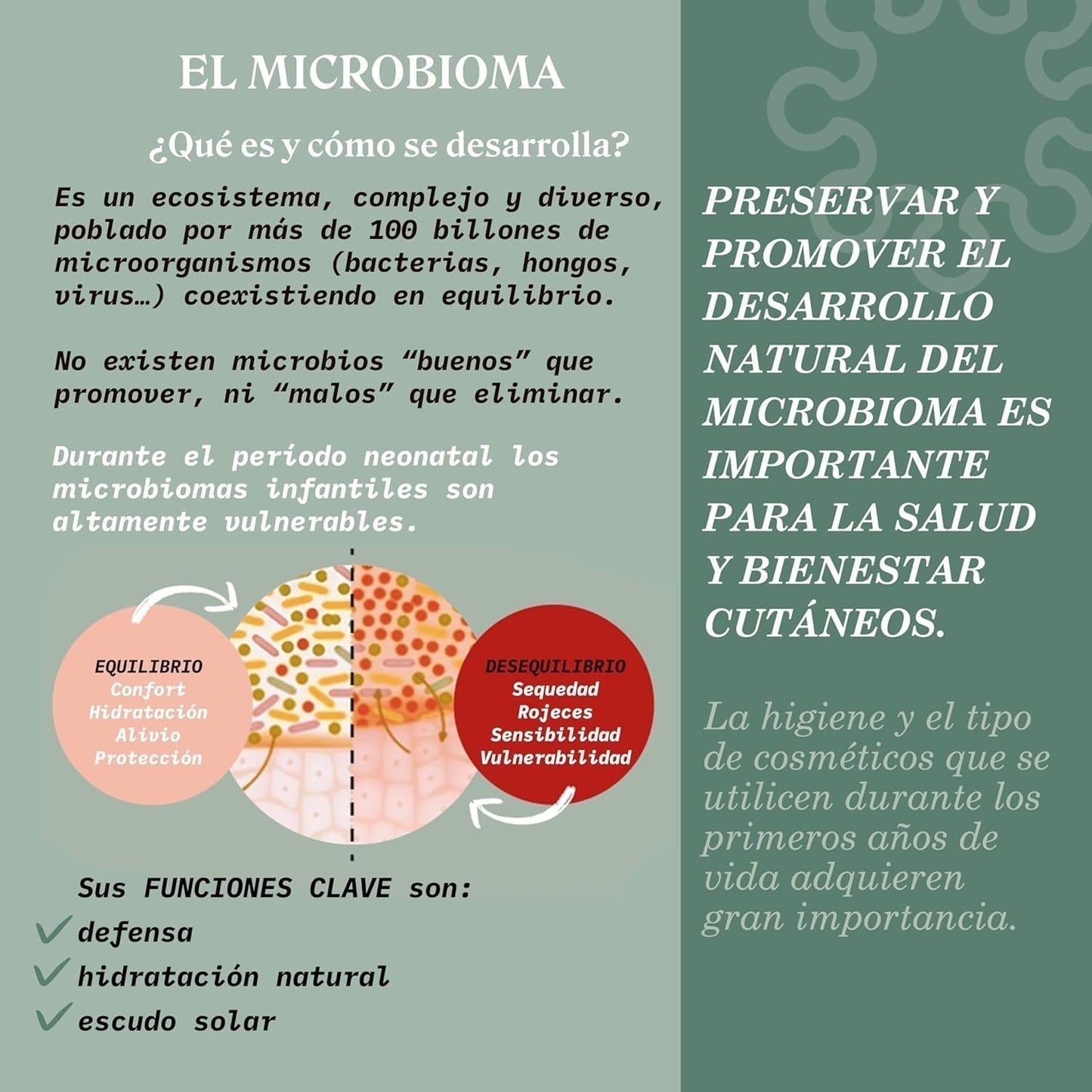 Suavinex, Syndet champú bebé para piel y cabello, sin jabón, 750ml + loción corporal hidratante, 750ml, apto para pieles sensibles y recién nacidos, con un 90%-93% de ingredientes naturales. Niños - Baño y Cuidado de la Piel Naty Shop