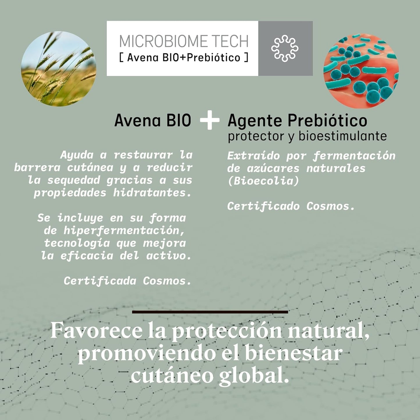 Suavinex, Syndet champú bebé para piel y cabello, sin jabón, 750ml + loción corporal hidratante, 750ml, apto para pieles sensibles y recién nacidos, con un 90%-93% de ingredientes naturales. Niños - Baño y Cuidado de la Piel Naty Shop