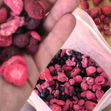 Mezcla de frutas liofilizadas Super Berries | XL 300g Frutos secos sin azúcar | Frutos secos | Frutos secos Liofilizados Fresas Frambuesas Arándanos Liofilizados ZingyZoo Productos deshidratados Naty Shop