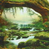 Tapiz psicodélico tapiz bosque ligero luz solar paisaje colgante Hogar - Accesorios y Decoración Naty Shop