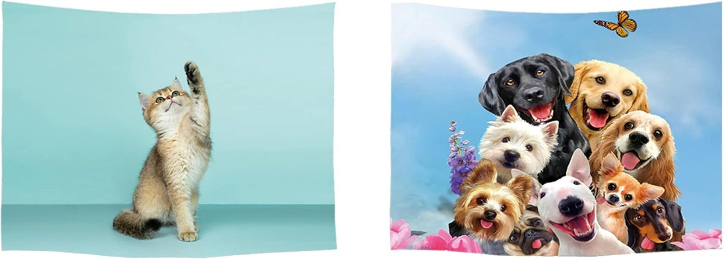 Tapiz ulticool casa playa mar palmeras isla Hogar - Accesorios y Decoración Naty Shop Perro Gato