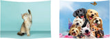 Tapiz ulticool casa playa mar palmeras isla Hogar - Accesorios y Decoración Naty Shop Perro Gato