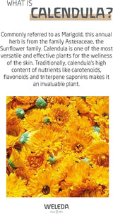 WELEDA Organic Baby Calendula Care Cream Body & Face 75ml - Crema facial / crema para la piel para cosmética natural con aceite de sésamo y lanolina para el cuidado de la piel seca. Crema de cuidado hidratante para bebés y niños Infantil - Baño y Cuidado Naty Shop