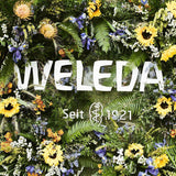 WELEDA Organic Baby Calendula Care Cream Body & Face 75ml - Crema facial / crema para la piel para cosmética natural con aceite de sésamo y lanolina para el cuidado de la piel seca. Crema de cuidado hidratante para bebés y niños Infantil - Baño y Cuidado Naty Shop